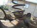 DSCN5854.JPG