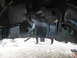 DSCN5869.JPG