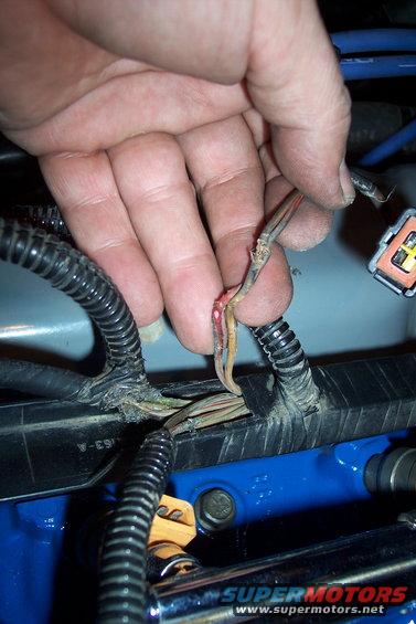 inj_harness_repair-(5).jpg 