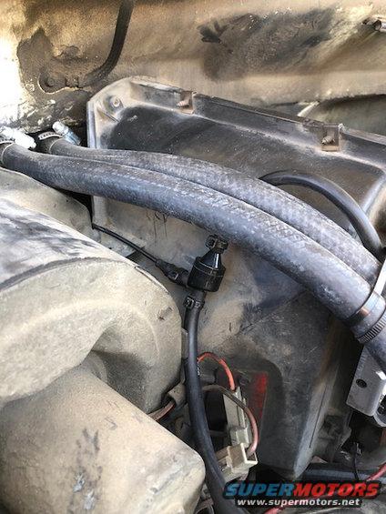 Engine bay fuel filter and hoses