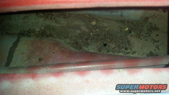 Close-up of a dirty cavity in a red vehicle, filled with debris and leaves