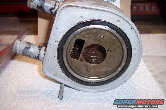 Close-up of an oil cooler part with threaded fitting and hose connections