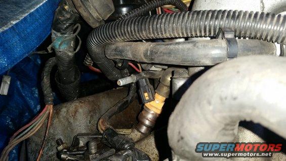 Engine bay fuel injector and wiring harness