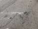 1992 Jeep Wrangler - A close-up view of an asphalt road surface showing tire marks and cracks.