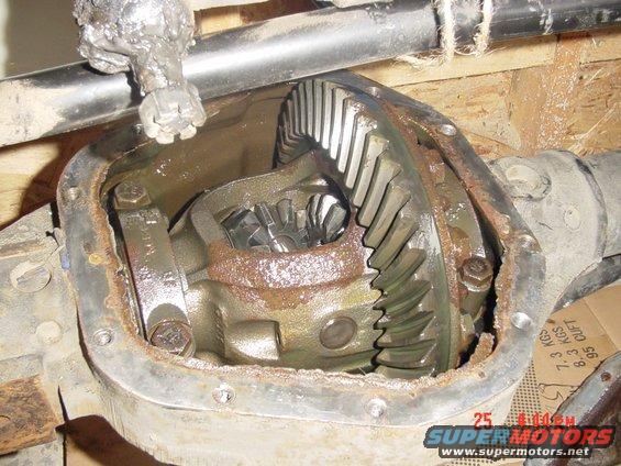 d60-011.jpg another shot