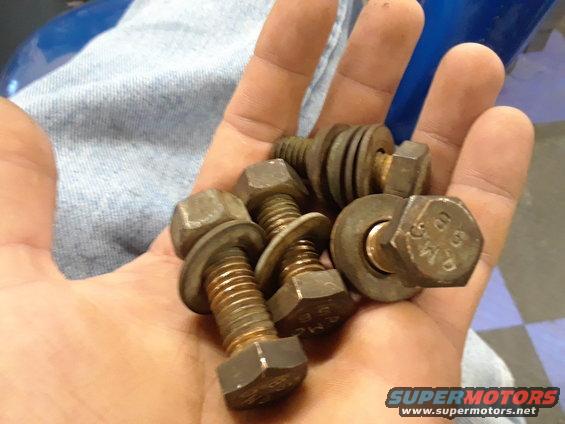 Bolts with washers held in a hand. Some bolts have markings