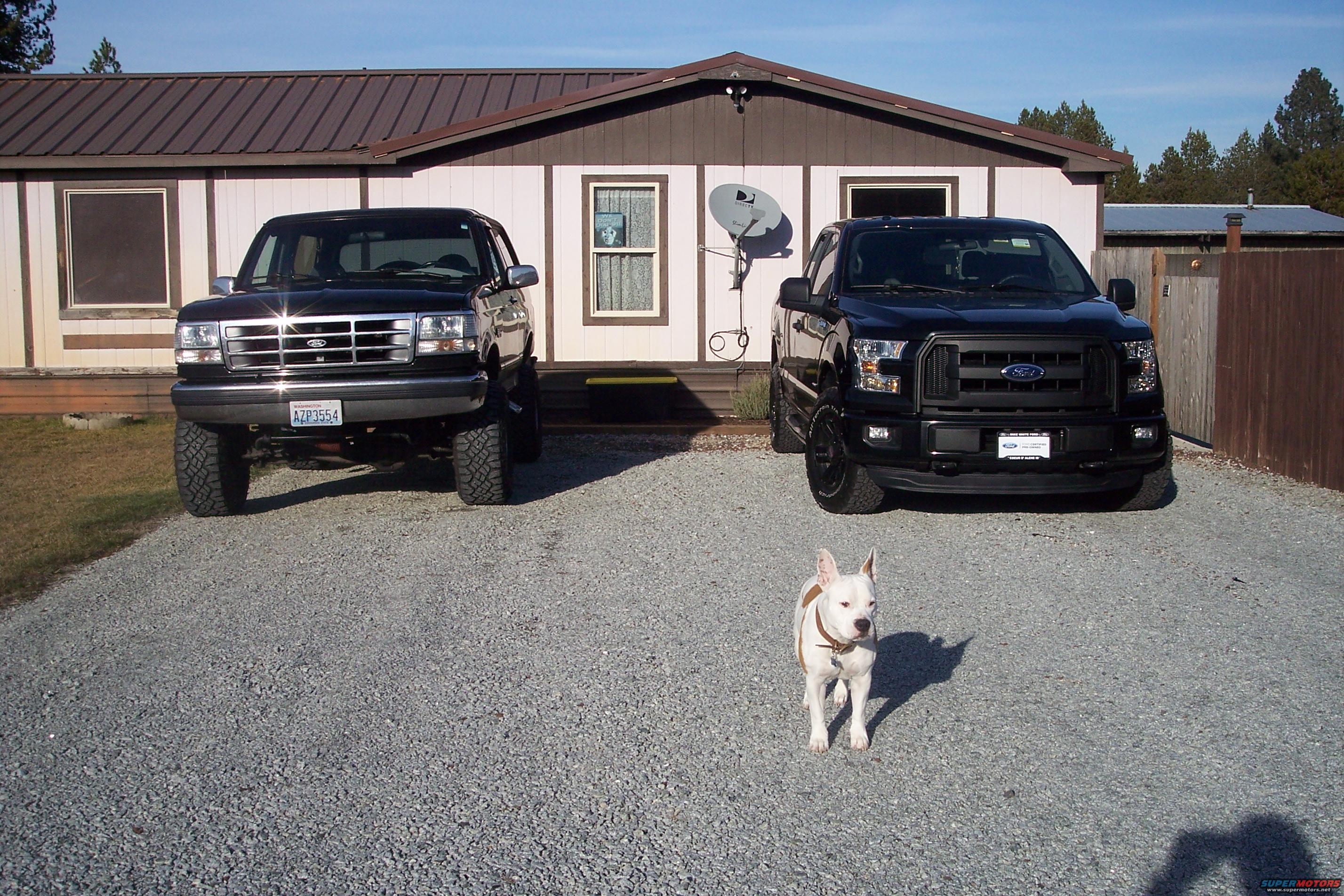 2015 Ford F-150 photo