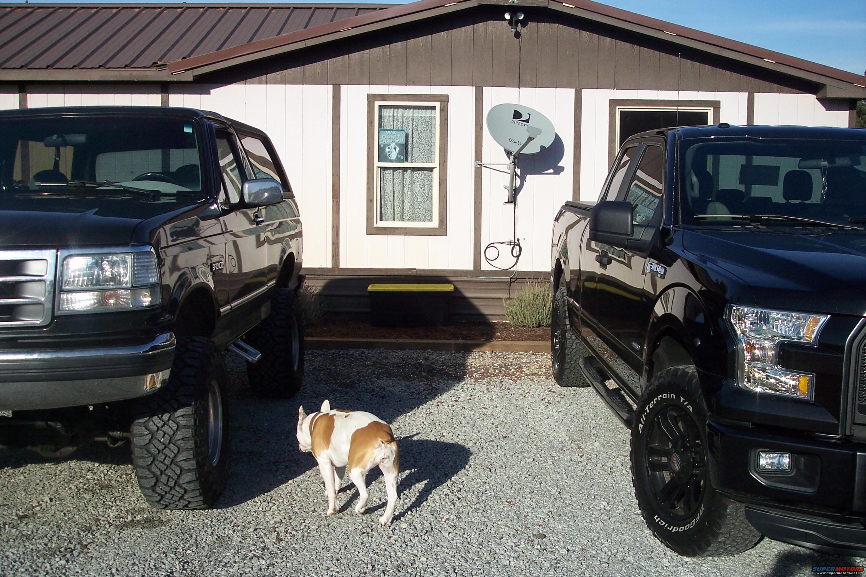 2015 Ford F-150 photo