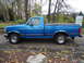 1994 Ford F-150 - A blue pickup truck is parked on a street with trees and fallen leaves in the background.