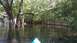 2006 Honda RANCHER - A flooded backyard scene with trees and a fence, viewed from a kayak.