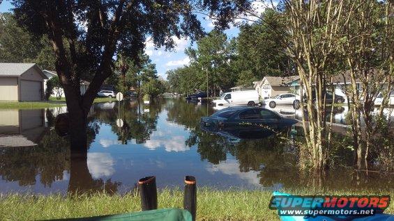 Dark sedan submerged in floodwater on a residential street with houses and trees
