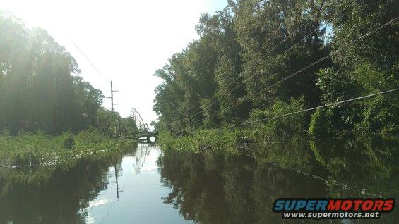 Flooded canal with dense trees lining the banks and power lines overhead. A fallen tree is visible in the distance