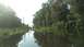2006 Honda RANCHER - A flooded canal scene with trees and power lines, possibly from Irma flooding.