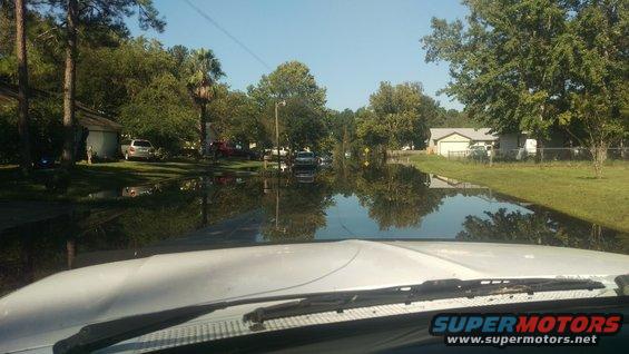 Flooded street with cars parked in front of houses. Water reflects trees and sky