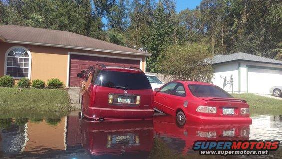 Red Honda Civic coupe, rear view, submerged in floodwater. License plate visible