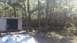 2006 Honda RANCHER - A storage shed and yard scene with trees and a wooden fence.
