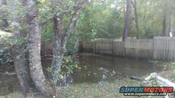 Flooded backyard with trees and a wooden fence, water reflecting the sky