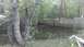 2006 Honda RANCHER - Backyard flooded after heavy rains, with trees and a fence visible.