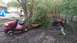 2006 Honda RANCHER photo