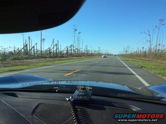 View from inside a car looking down a highway with many trees snapped or bent over on the side of the road