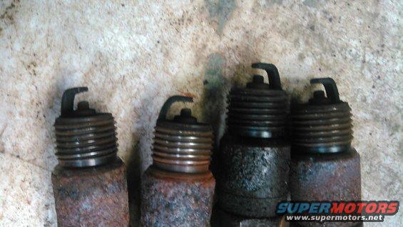 Four used spark plugs, two with rust