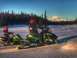 2019 Arctic Cat Mountain Cat 800