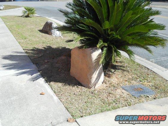 Curb, sidewalk, grass, rocks, and a sago palm plant next to a street