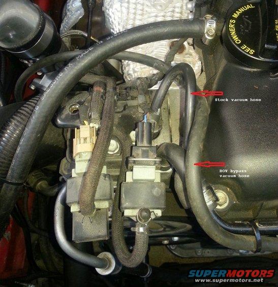 bovsolenoidhoses-w-highlights.jpg