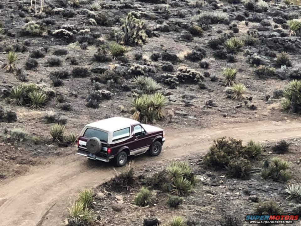1993 Ford Bronco photo