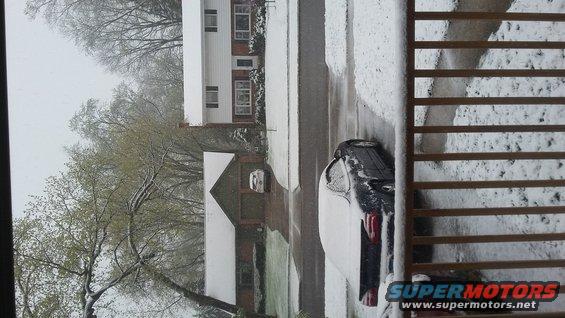 Dark sedan's rear in snow, parked on street with houses and trees