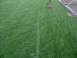 1979 Ford Bronco - Tire tracks are visible on the grass, with a small tree and a stone border in the background.