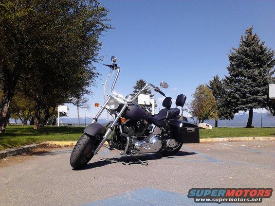 Dark colored Harley-Davidson motorcycle parked on asphalt, trees and blue sky in background