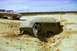 1979 Ford Bronco - Two SUVs are on a sandy terrain, one deeply stuck in a hole with its door open.