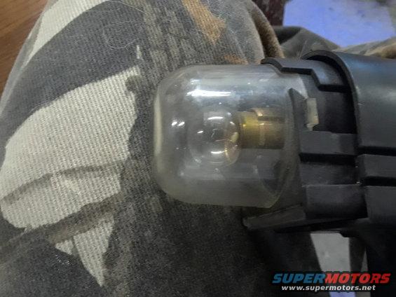close-up of a clear fuel filter with brass fittings