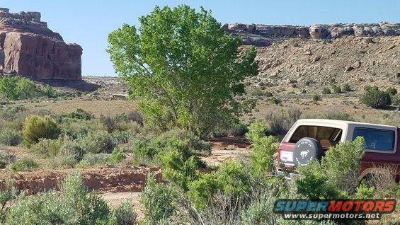 1985 Ford Bronco parked in a desert with red rock formations and green trees