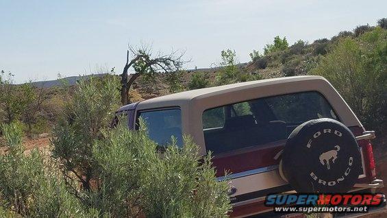 Maroon and tan Ford Bronco with spare tire on rear, parked in a dry, brushy landscape