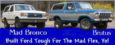 Blue and silver 1978 Ford Bronco with chrome grille and white Bronco with CAT plate