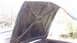 1961 Ford Starliner - The underside of a car hood reveals its internal structure and signs of wear and tear.