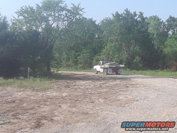 White SUV on a dirt road with trees in the background