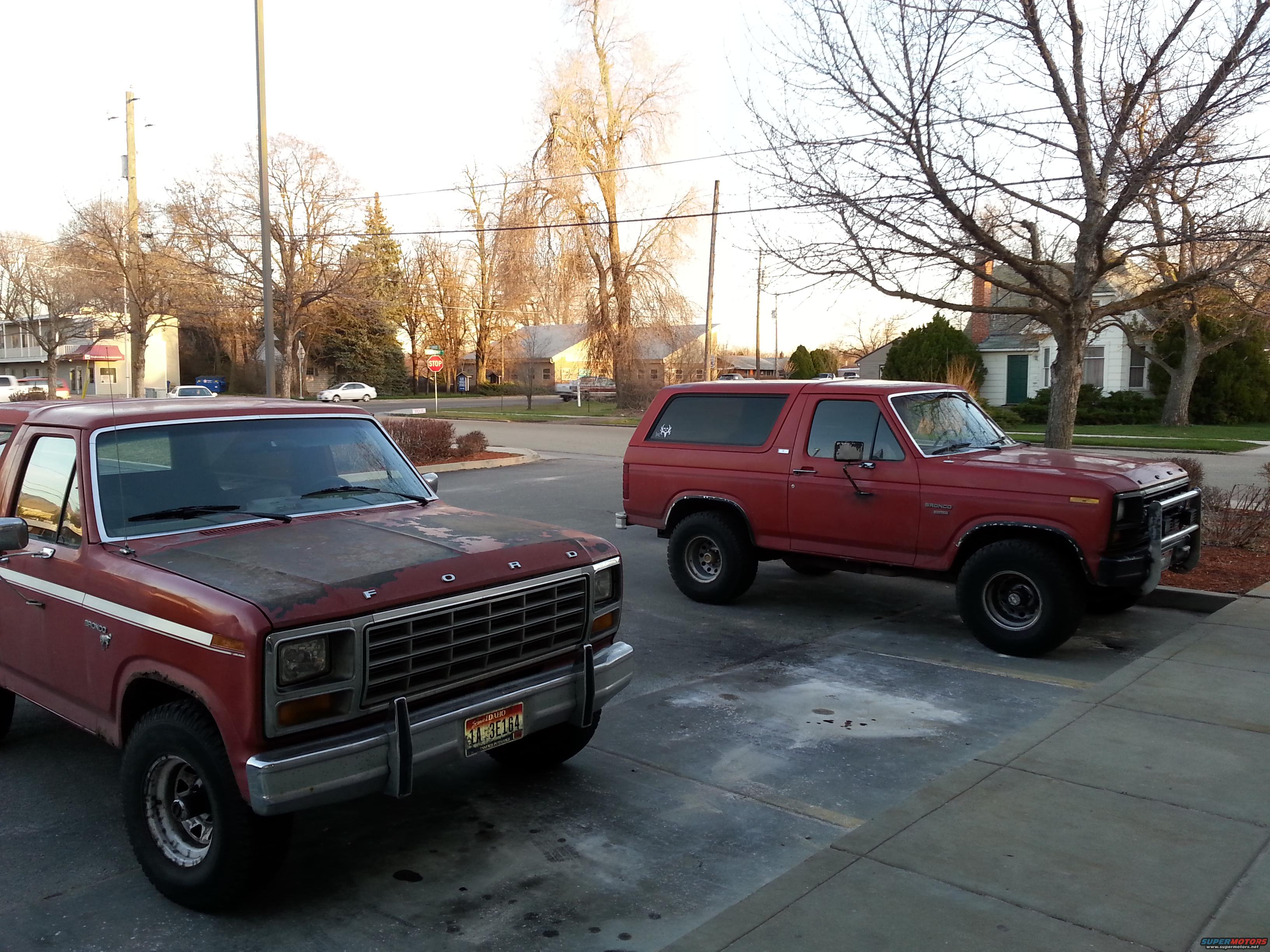1981 Ford Bronco photo