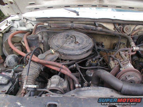Engine bay of a white 1980s Ford pickup truck, showing a V8 engine with a large air cleaner and various hoses and wires