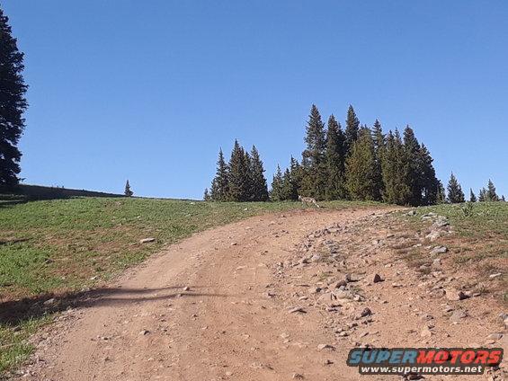 Dirt road winding uphill through grassy terrain with pine trees under a clear blue sky. Watermark reads SUPERMOTORS.NET