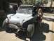 1970 Volkswagen Beetle - A custom dune buggy is parked outdoors with a woman standing beside it.