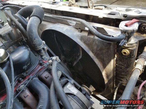 Radiator, fan, and engine components including hoses and belts