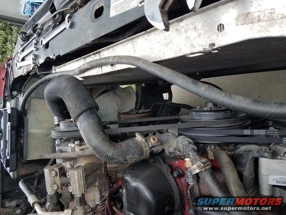 engine bay with hoses and belts visible