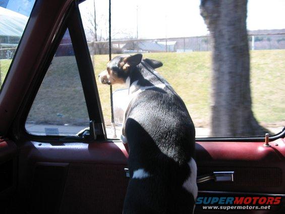 106_0689.jpg Co-Pilot checking for enemy Zero's (small Japanese fighters/econo cars)