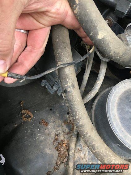 Hand holding a frayed wire with yellow connector in a dirty engine bay with hoses and rust