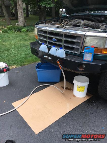 Green Ford truck front with hood open, undergoing fluid change. 1995