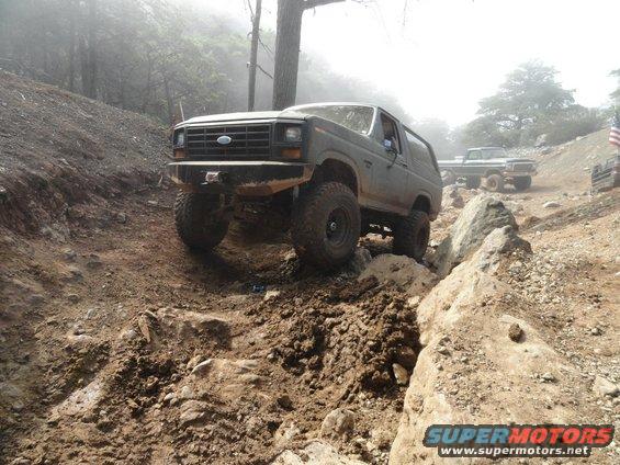 wheeling-cow.jpg 