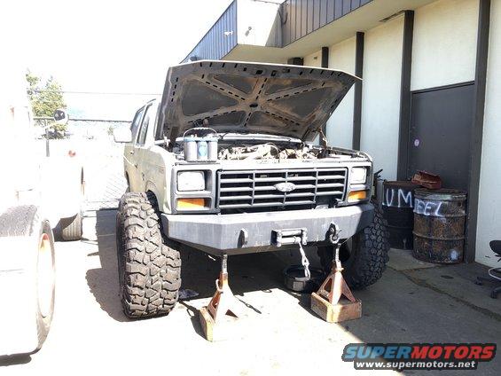 1986 Ford Bronco with hood open, lifted, and on jack stands